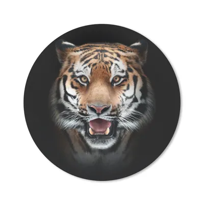 Produktbild von MuchoWow® Mauspad Mousepad Tiger - Porträt - Tier 40x40 cm - Mousepads - Maus Mat - Pad - Mausunterlage - Schreibtisch Accessoires