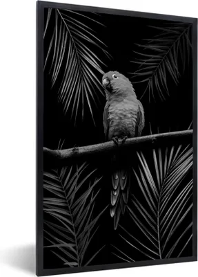 Produktbild von MuchoWow® Gerahmtes Poster Vogel auf schwarzem Hintergrund - schwarz und weiß 60x90 cm - Poster mit Schwarzem Bilderrahmen Wandposter Rahmen Foto Bilder - Kunst