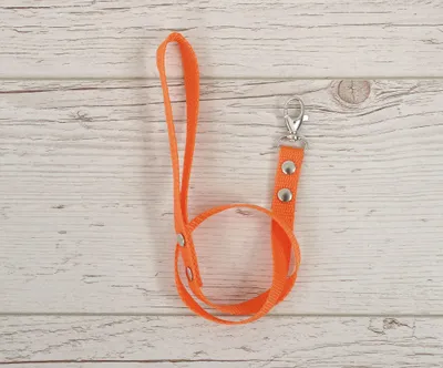 Produktbild von Hobby Horse Gurtbandseil - orange