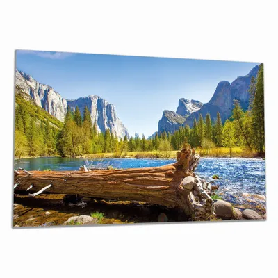 Produktbild von Wallario Herdabdeckplatte aus Glas, Größe 90 x 52 cm 1-teilig, Motiv Baumstamm im Fluss zwischen Bergen und Wäldern