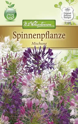 Produktbild von Spinnenpflanze Mischung | Spinnenblumensamen von N.L. Chrestensen