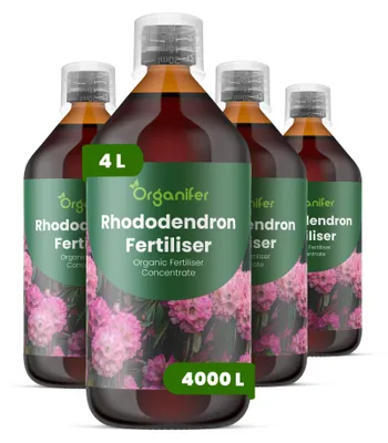 Produktbild von Rhododendren Flüssigdünger 4x1L – 2-1-8 NPK – Flüssig-Pflanzendünger für Rhododendren – Für Gartenbeete, Hecken & Zierpflanzungen – Organifer