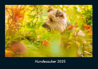 Produktbild von Hundezauber 2025 Fotokalender DIN A4