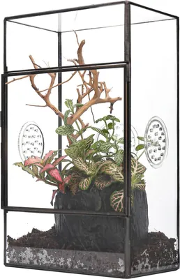 Image de Terrarium rectangulaire pour insectes - noir - 1 pièce - 13 x 10 x 23 cm