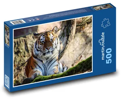 Obrázok produktu pre Puzzle 500 Tiger v divočine - martinpuzzle