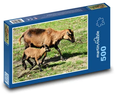 Zdjęcie produktu dla Puzzle 500 Owce na łące - martinpuzzle