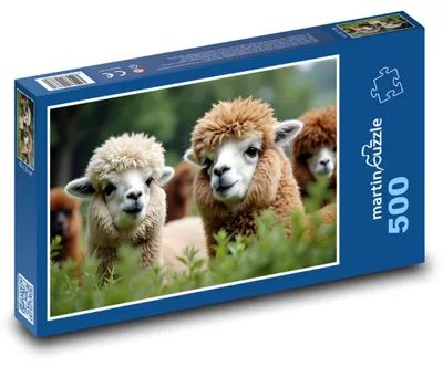 Zdjęcie produktu dla martinpuzzle - Puzzle 500 elementów - Alpakki