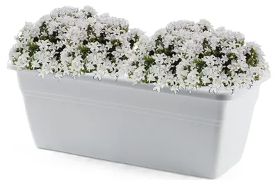 Produktbild von Pflanzgefas - weis - rechteckig - 40 x 18 x 15 cm - Blumenkasten