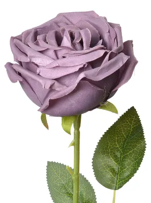 Image de Clayre & Eef Fleur artificielle 61 cm Violet Plastique