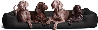 Produktbild von tierlando® Orthopädisches Hundebett GOOFY >> inkl. Matratzenschoner << Polyester - Größe: 160x110cm | Farbe: 03 Schwarz