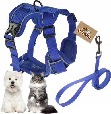 Obrázek produktu pro Postroj pro malé psy GUARD typ beztlakový reflexní postroj pro kočky GRATIS XL