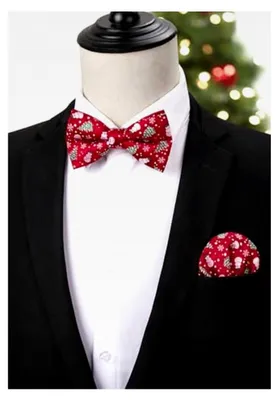 Produktbild von Weihnachtsfliege Herren Set mit Einstecktuch