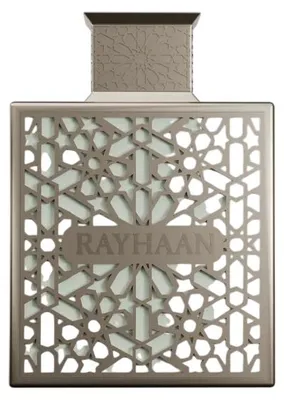 Produktbild von Rayhaan, Terra, Eau de Parfum, Für Männer, 100 ml