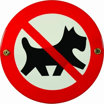 Produktbild von Hinweis-Schild: Hunde verboten