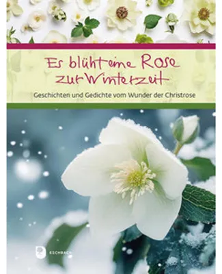 Produktbild von Es blüht eine Rose zur Winterzeit