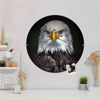 Produktbild von Design Stahlmagnettafel Schwarz Rund 47cm Adler