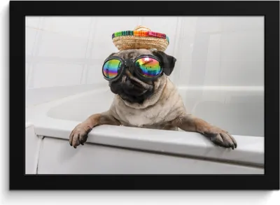 Produktbild von MuchoWow® MuchoWow® Gerahmtes Poster Mops mit Sonnenbrille in der Badewanne 30x20 cm - Poster mit zchwarzem Bilderrahmen - Kunstdruck - Bild-Poster