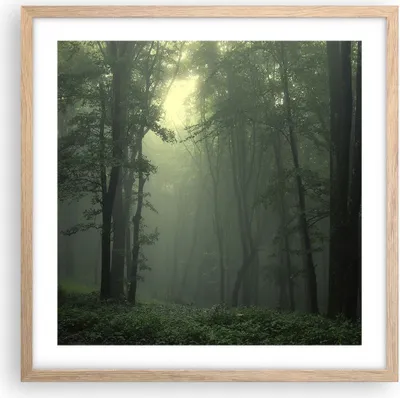 Produktbild von Gerahmtes Poster - Rahmen in heller Eiche - Wald Nebel Baum - 50x50 cm - Wand Bild - Wanddeko - Wandbilder - Kunstposter - Wandposter - Bilderrahmen - Bilder - Kunstdruck - Wandbild - P2NAC50x50-3543