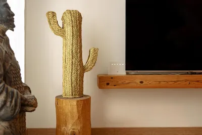 Productafbeelding van Handgemaakte houten cactusdecoratie voor binnen- en buitengebruik