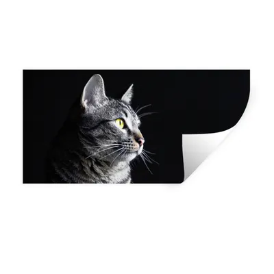 Produktbild von MuchoWow® Wandtattoo Wandsticker Wandaufkleber Katze schaut weg 80x40 cm Selbstklebend und Repositionierbar - Aufkleber