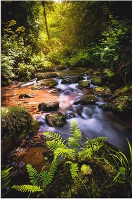 Produktbild von ARTland Wandbild Alu für Innen & Outdoor Wildbach im Wald Größe: 40x60 cm