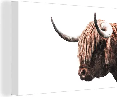 Produktbild von OneMillionCanvasses® - Leinwandbilder - 150x100 cm, Schottische Hochlandrind - Kühe - Hoorn, Wandbilder Wohnzimmer Hochland Rind - Tier Wanddekoration - Hochland Rind - Kuh - Gemälde auf Holzrahmen