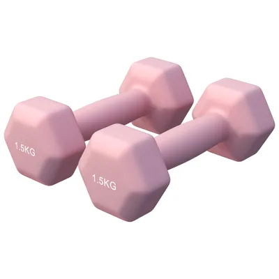 Two pink dumbbells are shown against a white background.
