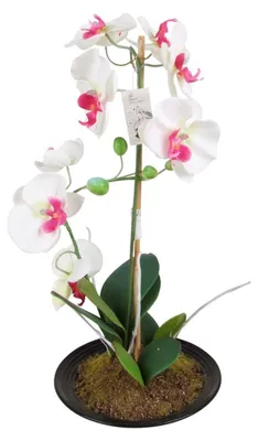 Image de Orchidée artificielle 2 panicules blanc/rose 50cm fleur artificielle Phalaenopsis plante artificielle