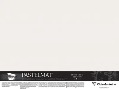 Produktbild von Clairefontaine Pastelmat Pastellmalerei, 5 Bogen 100x140 cm, 360g Weiß 396170C