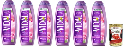 Produktbild von Vidal bagnoschiuma Touch Camelia E Ambra, Camelia und Ambra Schaumbäder Bades bath shower foam 6x 500ml + Italian Gourmet polpa 400g