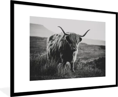 Produktbild von MuchoWow® Gerahmtes Poster Schottische Hochlandbewohner - Natur - Kühe - Tiere - Schwarz und weiß 90x60 cm - Poster mit Schwarzem Bilderrahmen Wandposter Rahmen Foto Bilder - Wanddekoration - Fotos