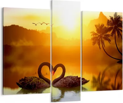 Produktbild von Bild auf Leinwand - Leinwandbild - Schwan Wasser Paar - 95x80cm - Wand Bild - Wanddeko - Wandbilder - Leinwanddruck - Bilder - Kunstdruck - Wanddekoration - Leinwand bilder - Wandkunst - CB95x80-3855