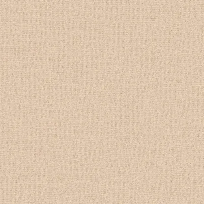 Produktbild von A.S. Creation | Attractive 2 | 390395 | Vliestapete | Einfarbig | 10.05 x 0.53 m | Orange | Wohnzimmer | Flur | Büro | Küche | Wohnräume