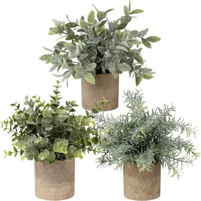 Produktbild von Mini Kunstpflanzen-Set aus Eukalyptus und Rosmarin in einem Dekorationsset für Bad, Büro, Küche und Garten