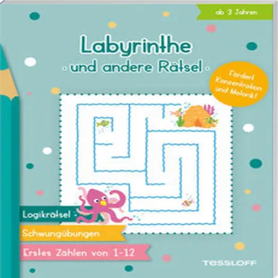 Produktbild von Labyrinthe und andere Rätsel