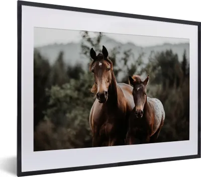 Produktbild von MuchoWow® MuchoWow® Gerahmtes Poster Pferd - Fohlen - Natur 40x30 cm - Poster mit zchwarzem Bilderrahmen - Bilderrahmen - Poster im Rahmen