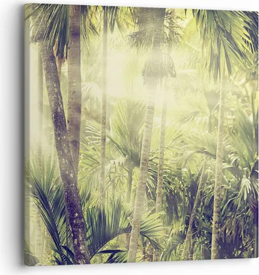 Produktbild von Bild auf Leinwand - Leinwandbild - Einteilig - Morgendämmerung Dschungel Palmen - 30x30cm - Wand Bild - Wanddeko - Wandbilder - Leinwanddruck - Bilder - Wanddekoration - Leinwand bilder - AC30x30-4450