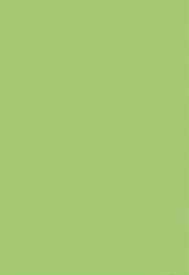Immagine prodotto di folia Moosgummi, (B)290 x (H)400 mm, hellgrn