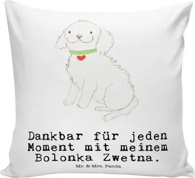 Produktbild von Mr. & Mrs. Panda Deko Kissen Bolonka Zwetna Moment - Weiß - Geschenk, Sofakissen 40x40, Tsvetnaya, für sofa, Zierkissen, Dekokissen