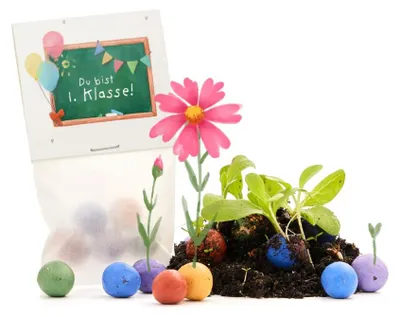 Produktbild von Die Stadtgärtner 5er Blumenmurmeln Einschulung Du bist 1. Klasse