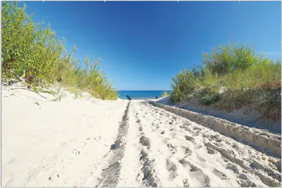 Produktbild von Wallario Wandbild Auf dem Sandweg zum Strand - Blauer Himmel über dem Meer, Größe: 61 x 91,5 cm, Poster mit rahmenlosen Bildhalter