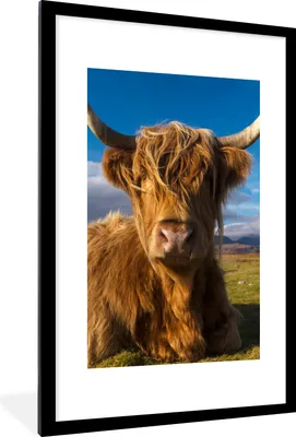 Produktbild von MuchoWow® Gerahmtes Poster Schottische Highlander - Tiere - Gras 60x90 cm - Poster mit Schwarzem Bilderrahmen Wandposter Rahmen Foto Bilder - Dekoration - Wandposter Wohnzimmer - Hochwertig