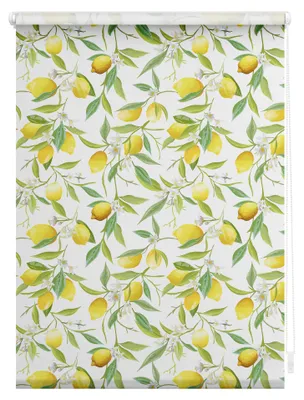 Produktbild von Lichtblick Rollo Klemmfix, ohne Bohren, Verdunkelung, Limone - Gelb Grün 100 cm x 150 cm (B x L)
