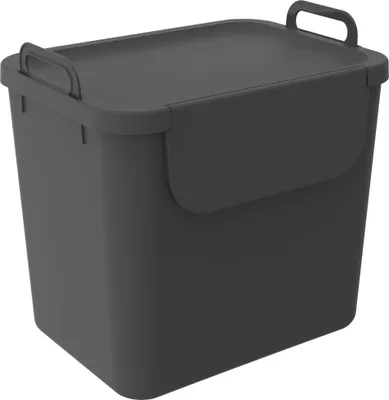 Produktbild von Rotho Mülltrennungssystem Jive 30 L schwarz Recyclingbehälter