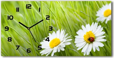 Produktbild von Wanduhr aus Glas – 60x30 cm - Glasbild - Glasuhr - Gehärtetes Glas - schwarze-zeiger - Gänseblümchen