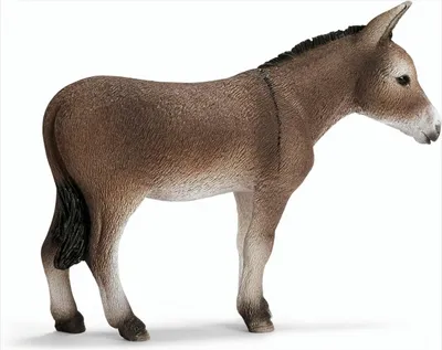 Obrázek produktu pro Schleich 13644 Osel