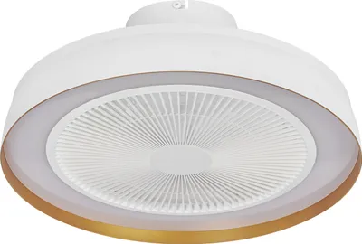 Immagine prodotto di Ventilatore da soffitto OSRAM 480 mm, 49W LED dimmerabile, motore DC 6 velocità, timer con telecomando, 1900 m³/h, 13-20m²