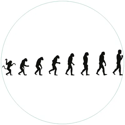 Produktbild von Wallario Premium Glasbild, freischwebende Optik, kräftige Farben, rund 50cm Durchmesser, Motiv Evolution - Die Entwicklung des Menschen