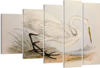 Produktbild von Bild auf Leinwand - Leinwandbild - 5 Teile - Vogel Weiß Reiher - 150x100cm - Wand Bild - Wanddeko - Wandbilder - Leinwanddruck - Bilder - Wanddekoration - Leinwand bilder - Wandbild - EG150x100-4979