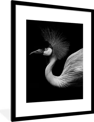Produktbild von MuchoWow® Gerahmtes Poster Kranich - Schwarz - Weiß - Vogel - Tiere 60x80 cm - Poster mit Schwarzem Bilderrahmen Wandposter Rahmen Foto Bilder - Wohnzimmer - Dekorationen - Prämie